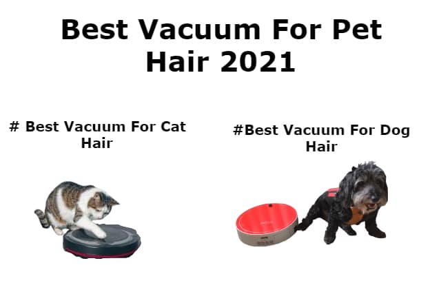 best vacuum for cat hair