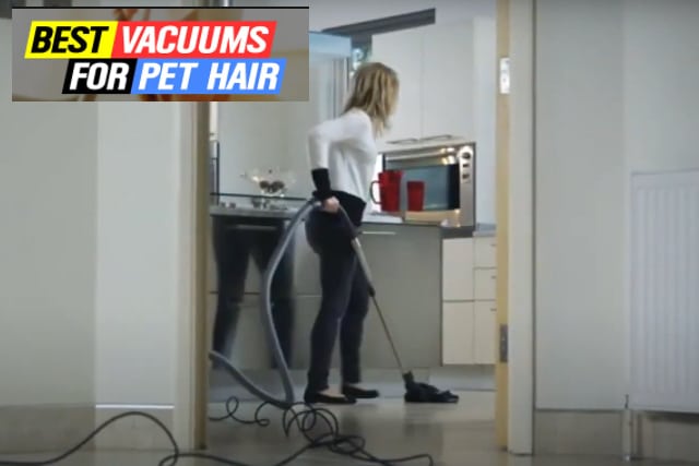 best vacuum for dog hair