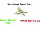 parakeet food list