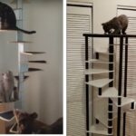Cat Spiral Staircase