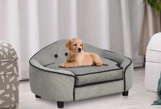 Modern Dog Furniture
