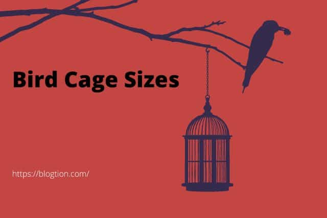 Bird Cage Sizes