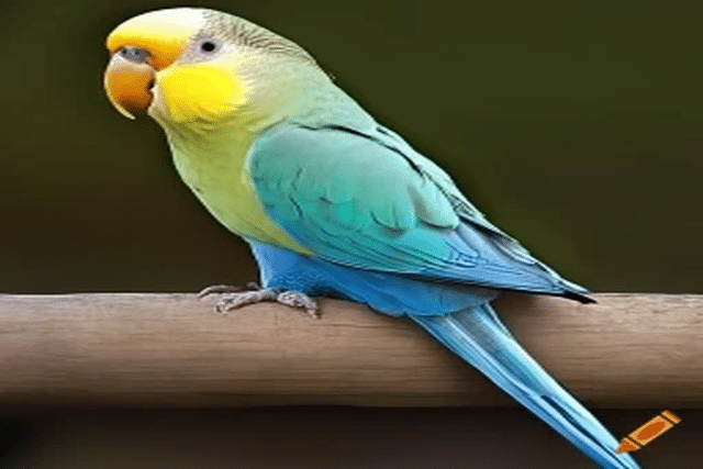 Can Parakeets Die from Loneliness?
