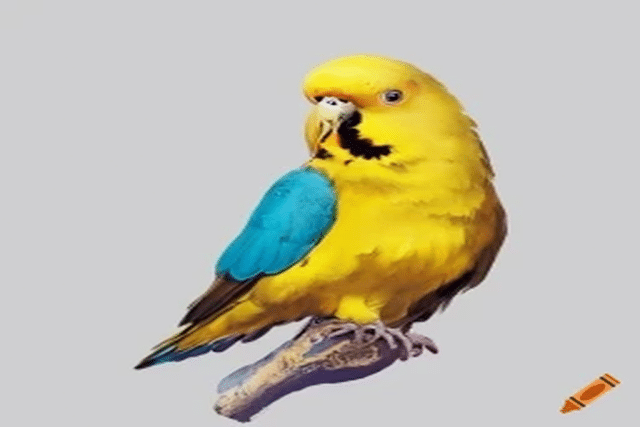 Can Parakeets Eat Bread?