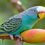 Can Parakeets Eat Mango?